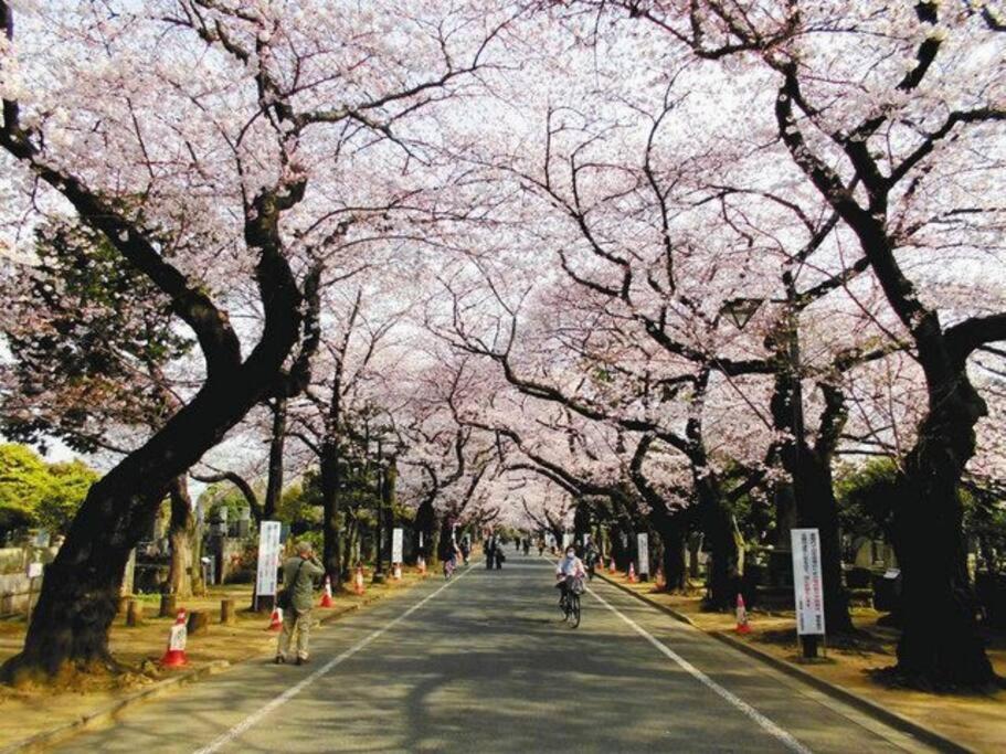 Apartment ゲストルーム上野桜木